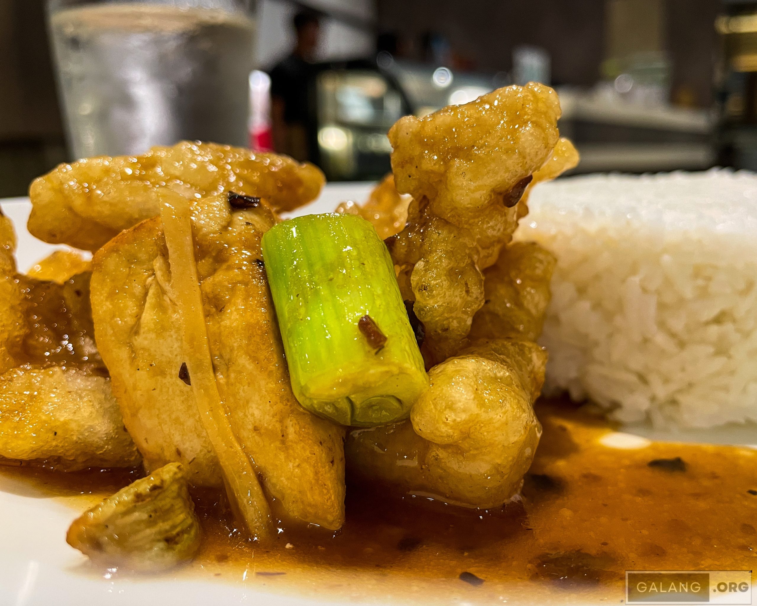 Fish Tofu Rice